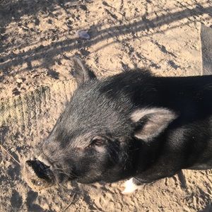 Meet your Posher, Sara